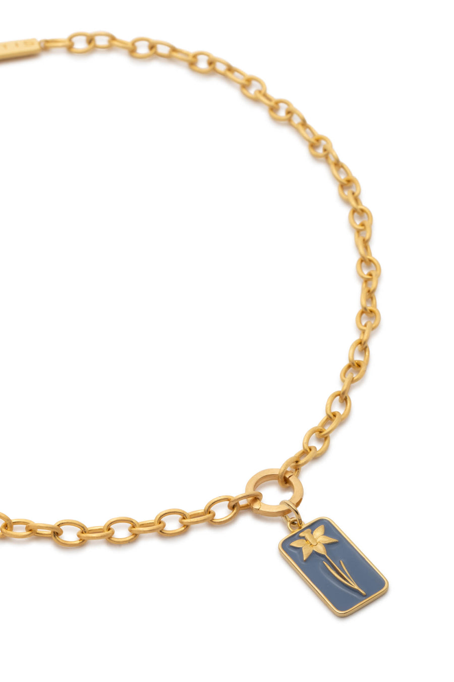 Charm Holder Chain
