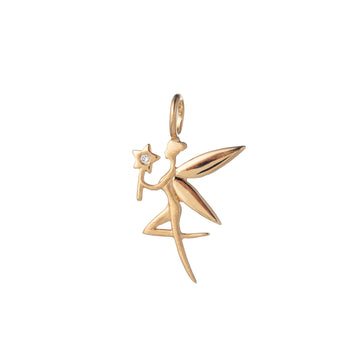 Fairy Charm