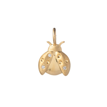 Ladybug Charm