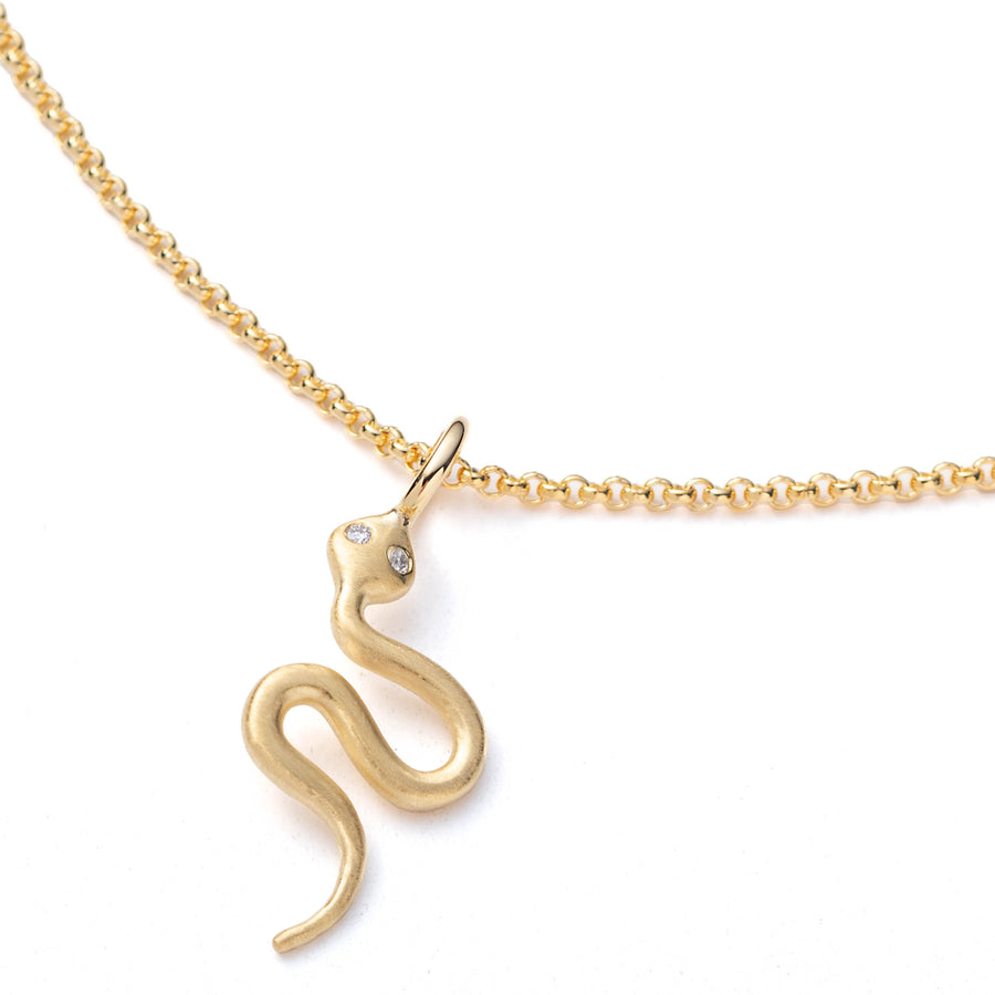 Snake Charm